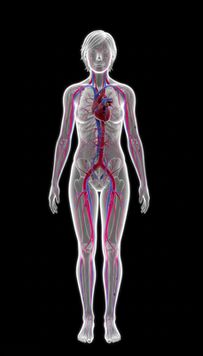 Antimicrobial Activity