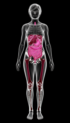 Antidiabetic & Nephroprotective Effects