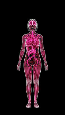 Apoyo de Energía y Metabolismo
