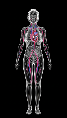 Salud Cardíaca y Cardiovascular