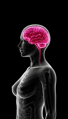 Demir, Çinko, Bakır ve Selenyum