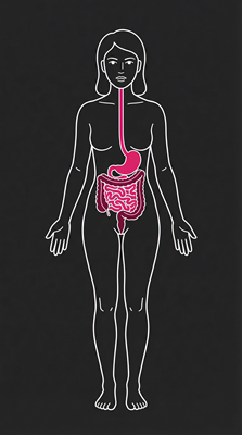 Sindirim Sağlığı