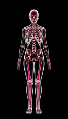 D Vitamini (Ergosterol)